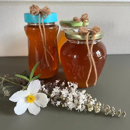 Peaceful Luxury - Stunning Alps Views Διαμέρισμα Saluzzo