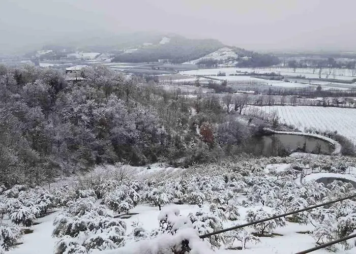 Lejlighed Peaceful Luxury - Stunning Alps Views *